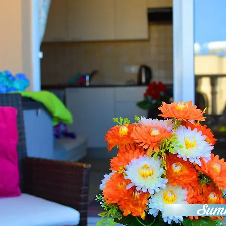 아파트 Thea Court 1 Bedroom *